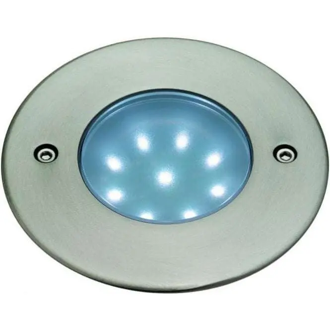 Firstlight LED 9 Walkover/Driveover Outdoor Light in Stainless Steel
